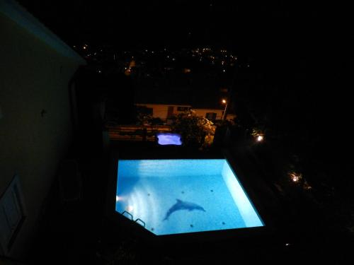 a swimming pool at night with a shark in the water at Apartments Belvedere Lovran in Lovran