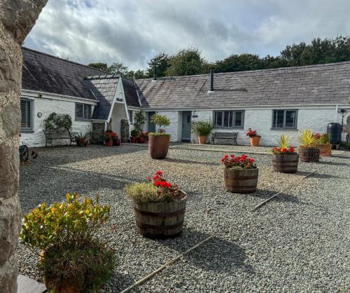 a group of potted plants in front of a house at Gwyllt Cottages in Dwyran