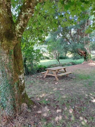 a wooden picnic table sitting next to a tree at La grange du moulin in Saint-Christophe