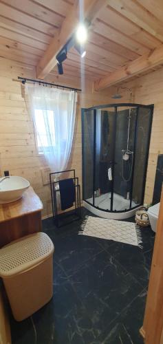 a bathroom with a shower and a sink at Agroturystyka AKPólko in Biała Podlaska