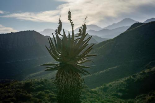 Un paisaje natural cerca del departamento