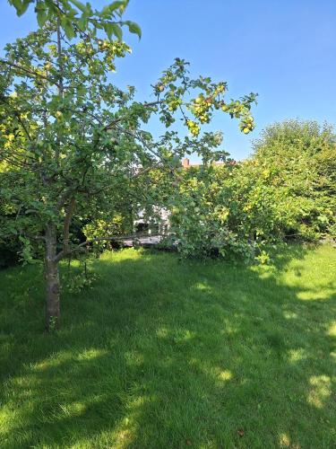 Κήπος έξω από το P7 Gardens - Close to station and nature