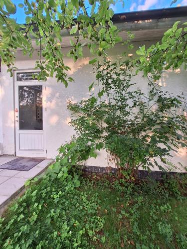 Κήπος έξω από το P7 Gardens - Close to station and nature