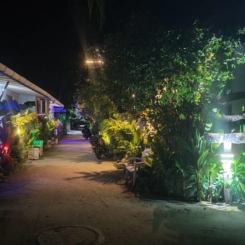 a street at night with a bunch of plants at ROYAL VILLAGE inn Dhangethi Maldives in Dhangethi