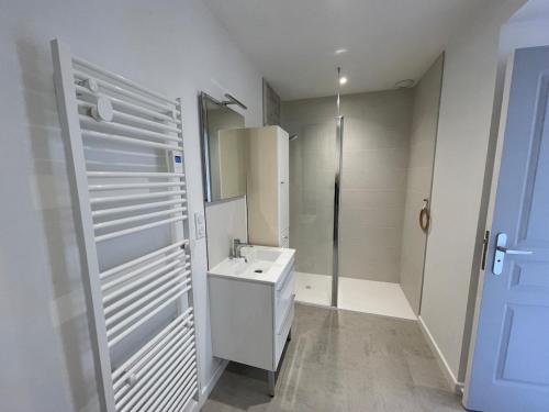 a white bathroom with a sink and a shower at Maison au cœur du pays de Rabelais in Lerné