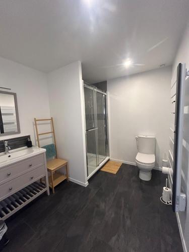 a bathroom with a toilet and a sink and a shower at Grange de Courbey in Chambornay-lès-Pin