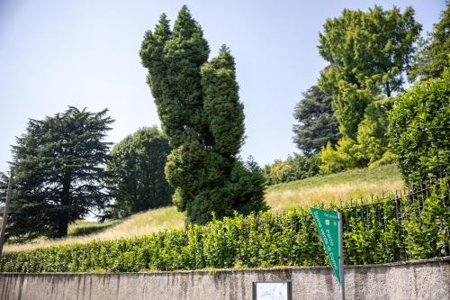 a retaining wall with a hedge and trees at Spina Verde Palazzo in Cavallasca
