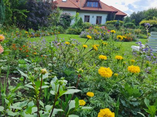 a garden with yellow and purple flowers and a house at Pensjonacik Ogrody in Pierzchno