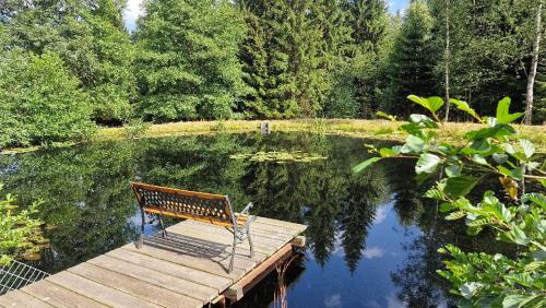a bench sitting on a wooden dock next to a pond at Torfhaus Holzhau in Rechenberg-Bienenmühle