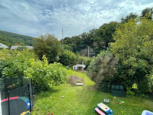 a view of a yard with trees and a yard at Das Grüne Nest in Neckarsteinach