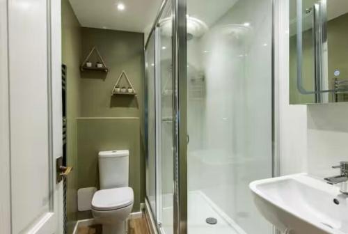 ein Badezimmer mit Dusche, Toilette und Waschbecken in der Unterkunft Hope Cottage by the sea in Saint Monance