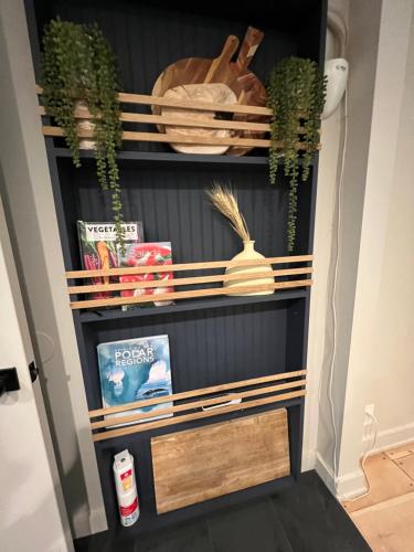 a shelf in a room with plants and books at Catskill MNTN Escape 5 BR 3 bath Villa Hot Tub Fire Pit Best Group Stay in Prattsville