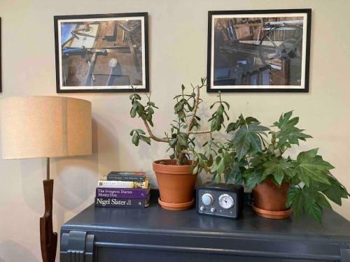 a table with potted plants and a lamp on it at Little Hare Lodge - Near Ludlow in Lane to Richards Castle