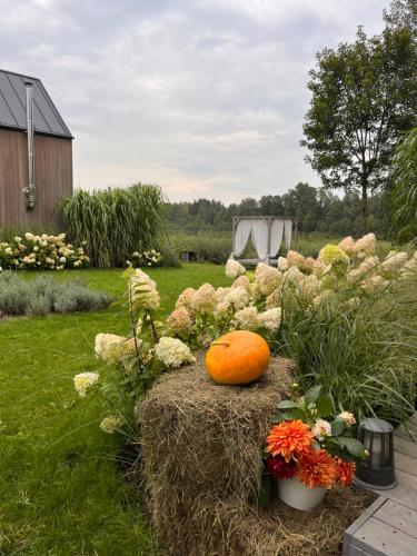 an orange pumpkin sitting on a pile of hay with flowers at Zielony domek nad jeziorem Mazurskie klimaty in Pogubie Tylne