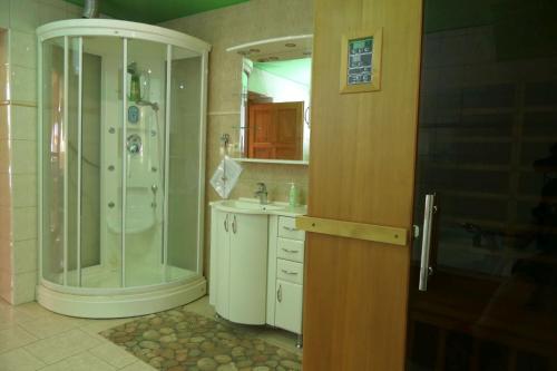 a bathroom with a shower and a sink at Apartmán 100-dola in Rakovník