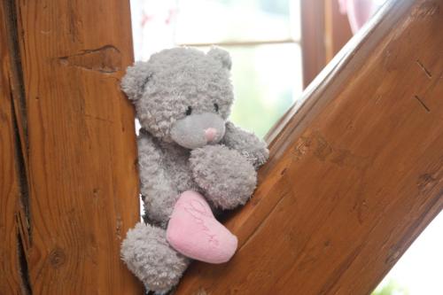 a teddy bear sitting on the side of a window at Farma Basarovi in Prosečné