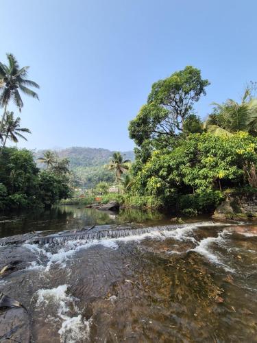 a river with rapids in the middle of a forest at Mamalakandam Green Hill Dormitory in Diya Homesay in Mamalakandam
