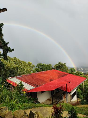 Un paisaje natural cerca del departamento