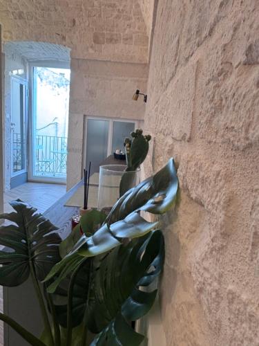 a plant sitting next to a stone wall at DORO' suite & luxury rooms in Noci
