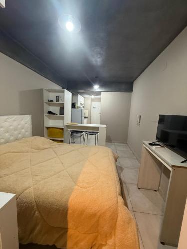 une chambre avec un lit, un bureau et une télévision dans l'établissement CHINO I, à San Miguel de Tucumán