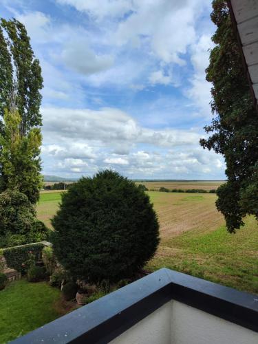 a view from the balcony of a house with a tree at Zimmer mit Weitblick in Weinregion in Bad Kreuznach
