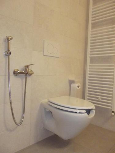 a white toilet in a bathroom with a shower at BnB Ranco in Ranco
