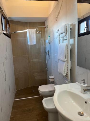 a bathroom with a shower and a toilet and a sink at Casa sulla Laguna CASTELLO in Venice
