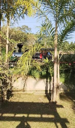 a car is parked behind a palm tree at Casa Dona Flor in Morretes