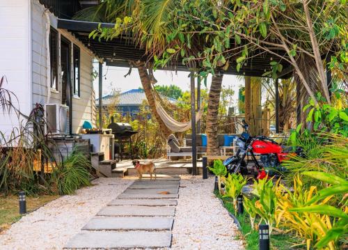 a cat walking down a path next to a house at 2 bedroom Guest House with comp ride to the airport in Ladyville