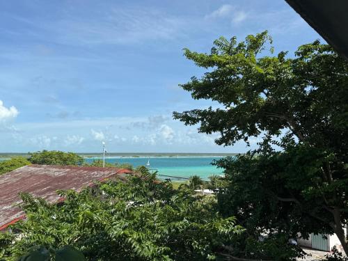 Galeriebild der Unterkunft La Embajada Bacalar in Bacalar
