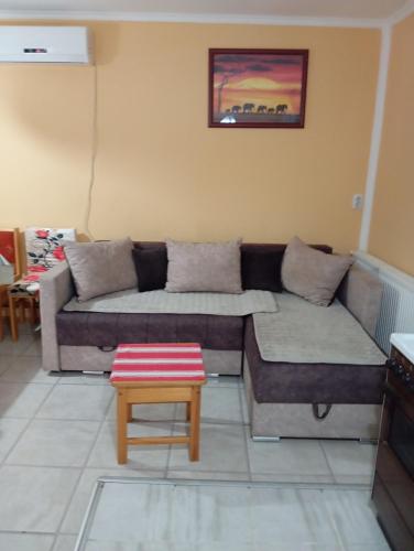 a living room with a couch and a table at Milica Apartmani in Vrdnik