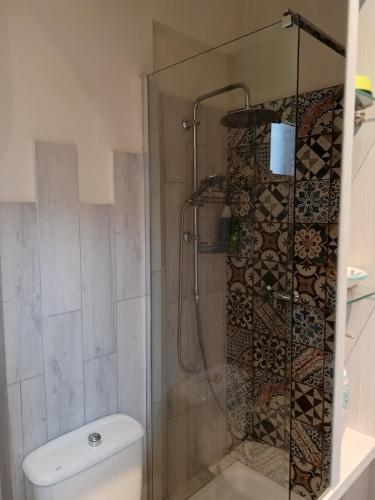 un baño con ducha y WC en Mirone Apartment FRONTE MARE beachfront house, en Roccalumera