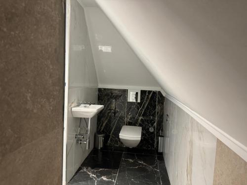 a bathroom with a sink and a toilet at Résidence des Fleurs in Hombourg-Haut