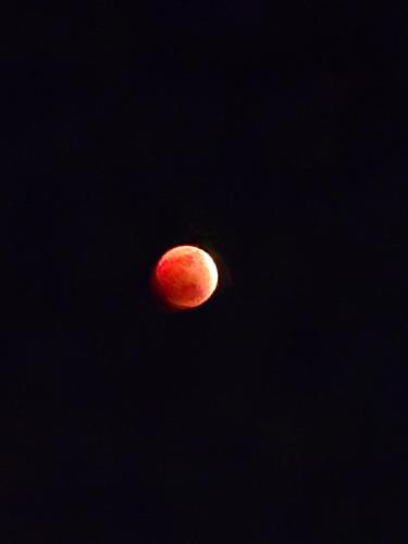 a red moon in the black sky at Sprunger Retreat - tulia homes in Moshi