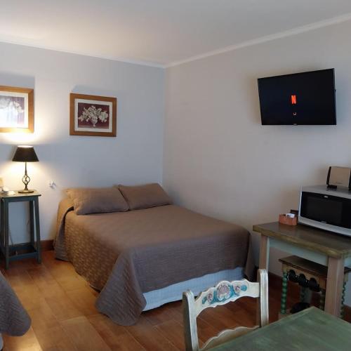 Μια τηλεόραση ή/και κέντρο ψυχαγωγίας στο Hotel El Descanso