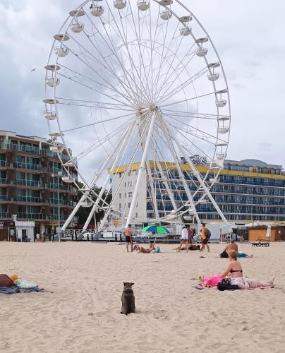 a ferris wheel on the beach with people on the sand at Excelsior Prince ApartHotel in Sunny Beach