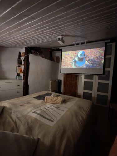 a bedroom with a bed and a flat screen tv at BIDEARTEAN, Caserío vasco, Recién reformado in Záitegui