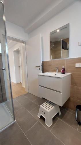 a bathroom with a sink and a shower at Fewo Gerda im schönen Odw in Mörlenbach
