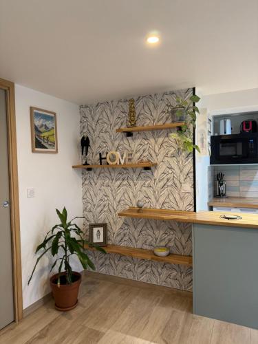 a kitchen with a stone wall with shelves and a plant at appartement 4 personnes yvetot maurienne express in Saint-Jean-de-Maurienne