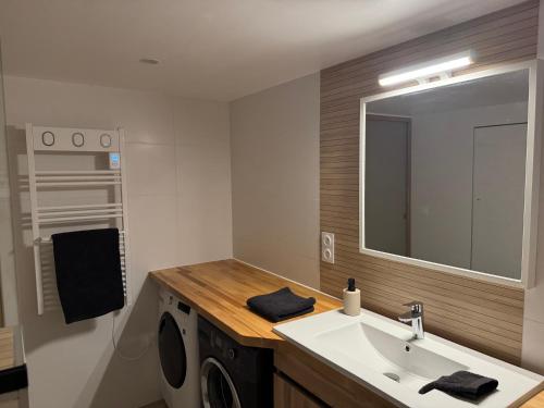 a bathroom with a sink and a washing machine at appartement 4 personnes yvetot maurienne express in Saint-Jean-de-Maurienne