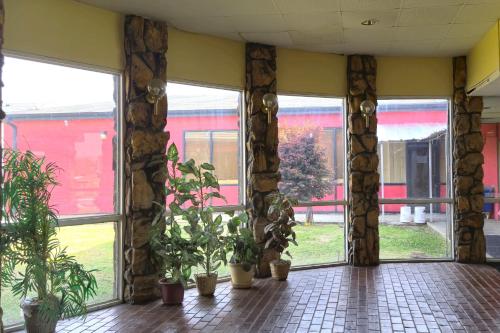 a room with windows and potted plants at River Valley Inn and Suites in Fort Smith