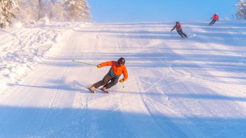 a group of people skiing down a snow covered slope at 16 - Fulufjellets nasjonalparker - snø - alpint - langrenn - snøscooter in Ljørdal