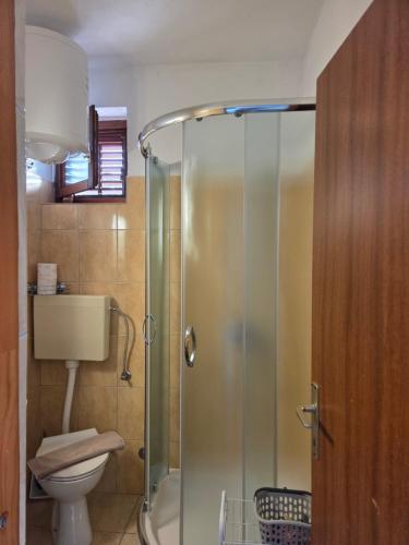 a bathroom with a glass shower with a toilet at Mala Basina -Maslina in Vrbanj