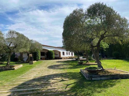 a house with a tree in the yard at Casa Bali Costa Brava in Palafrugell