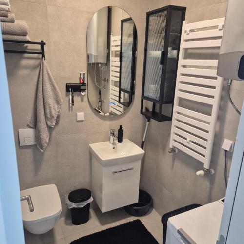 un bagno con lavandino, specchio e WC di V i N Boutique Apartment a Niš