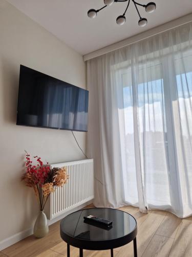 Apartamenty Potockiego Private Parking Self Check-inにあるテレビまたはエンターテインメントセンター