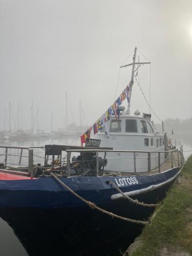 Gallery image of LOTOSS ex ice class Pilot ship in Engure