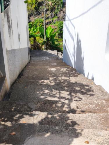 Gambar di galeri bagi Studio Cascata da Giesta di Câmara de Lobos
