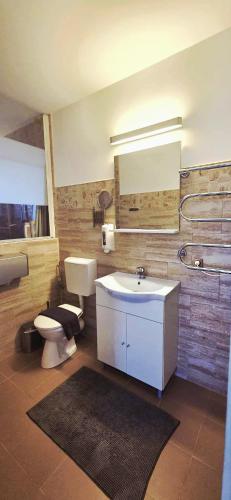 a bathroom with a sink and a toilet and a mirror at Casa Mio in Moldova Nouă