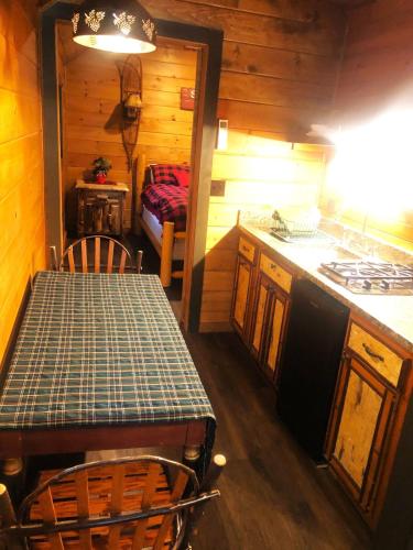 Φωτογραφία από το άλμπουμ του Snowshoe Cabin Retreat - Steps from Lake Clear & Rail Trail σε Lake Clear